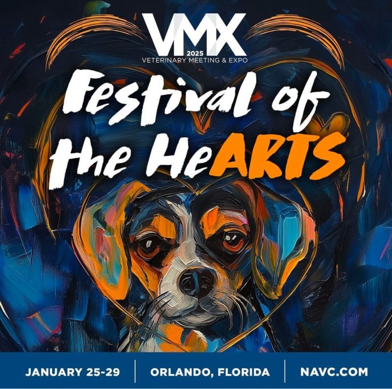 Air by CCSquared is thrilled to be exhibiting at VMX in Orlando, January 25-29! 🌴
